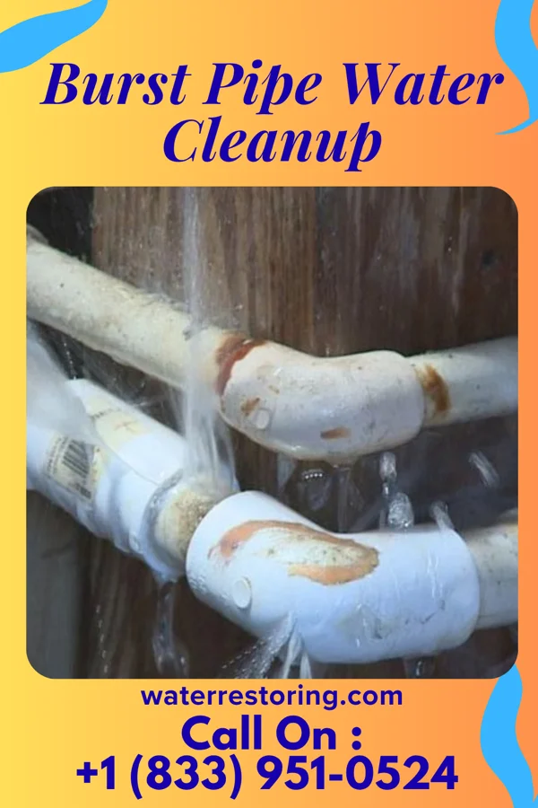 Burst Pipe Water Cleanup in Nescopeck, PA