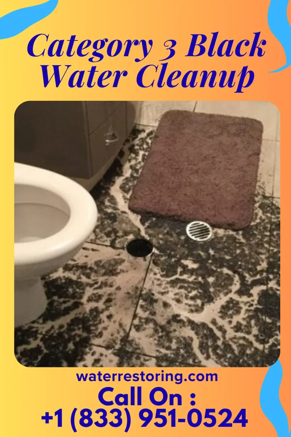 Category 3 Black Water Cleanup in Nescopeck, PA