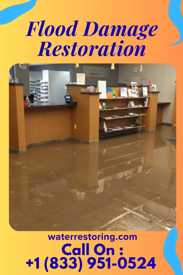 Flood Damage Restoration in Nescopeck, PA