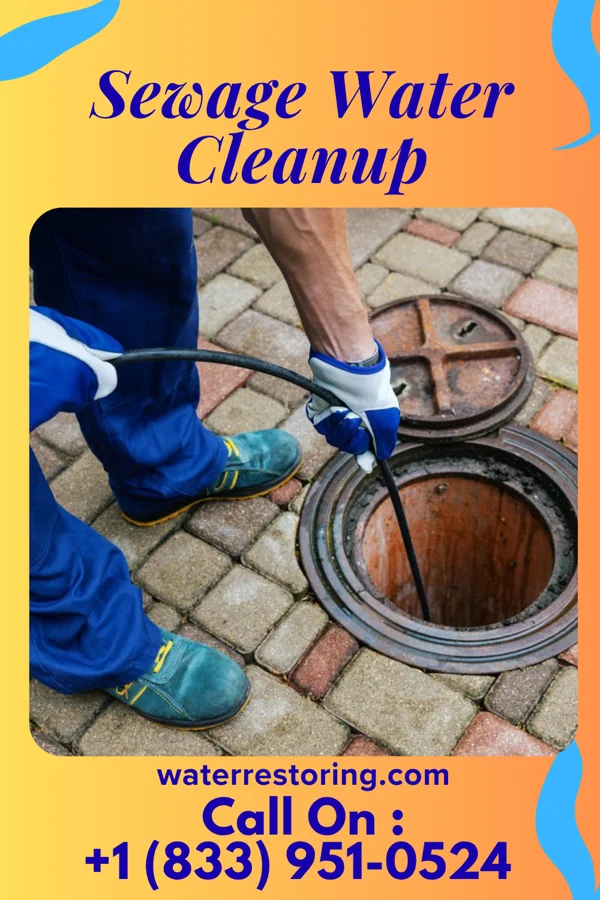Sewage Water Cleanup in Nescopeck, PA